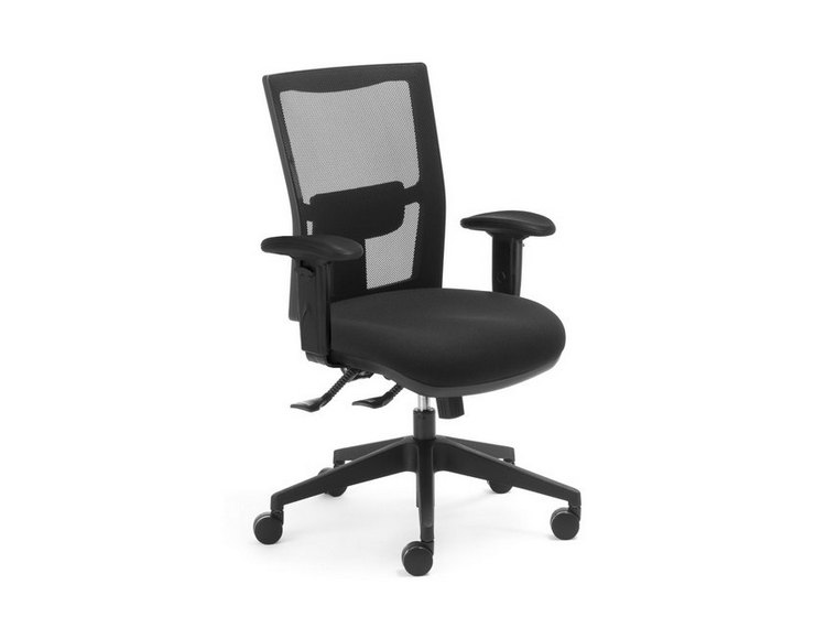 Anatome Air Ergonomic Office Chair  