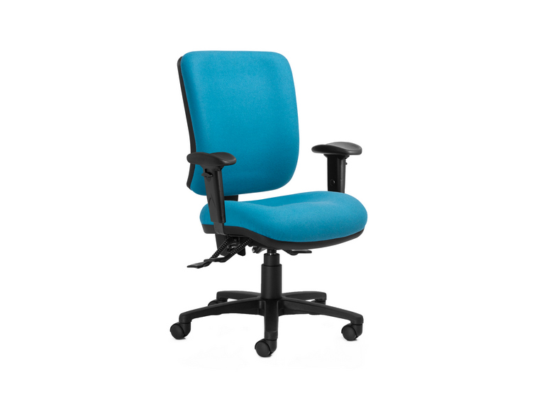 Anatome ErgoS Ergonomic Office Chair 