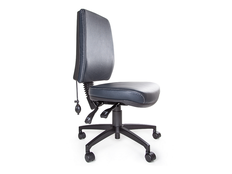 Anatome Luxury 3 Lever Ergonomic Office Chair 