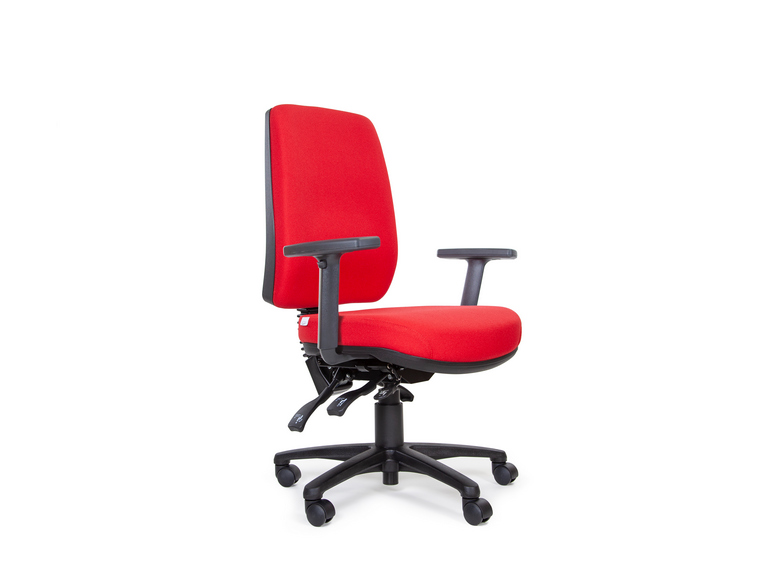 Anatome Luxury Manual Ergonomic Office Chair 