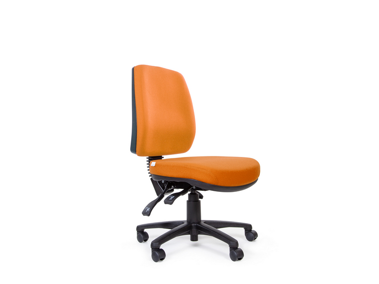 Anatome Luxury Manual Ergonomic Office Chair 