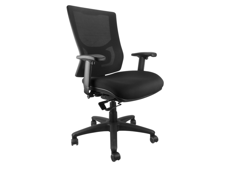 ErgoX Savoy Mesh Ergonomic Office Chair 